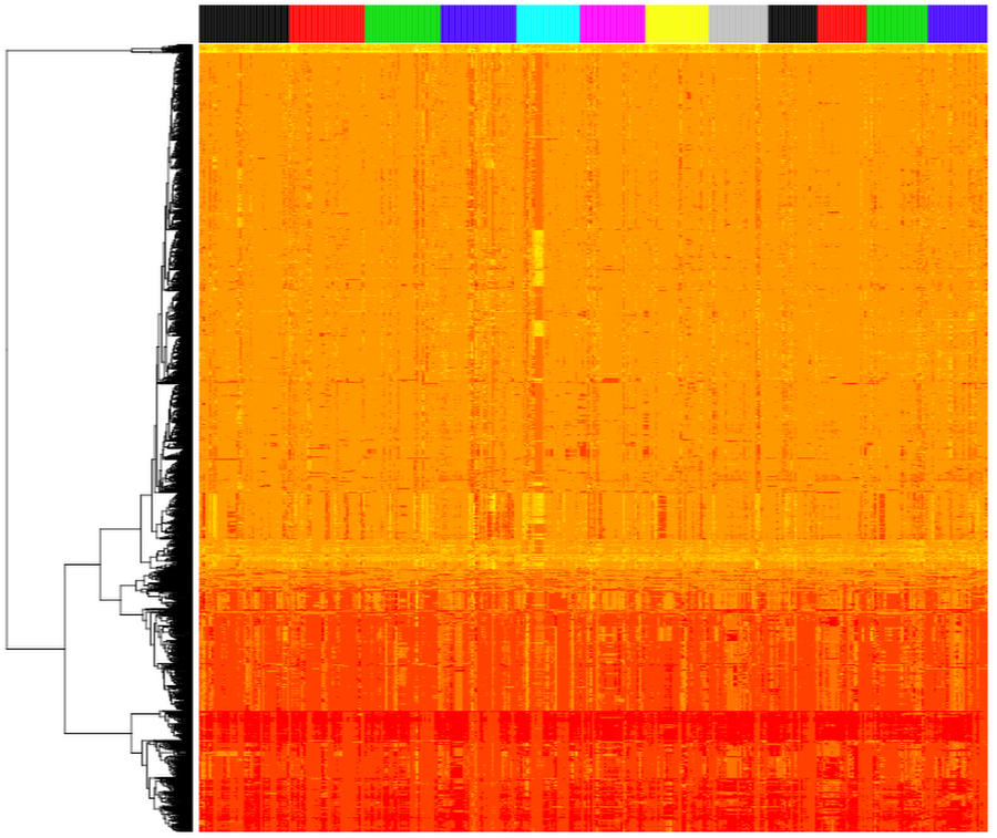 https://storage.googleapis.com/gweb-cloudblog-publish/images/image1_Ggx1NPV.max-900x900.png