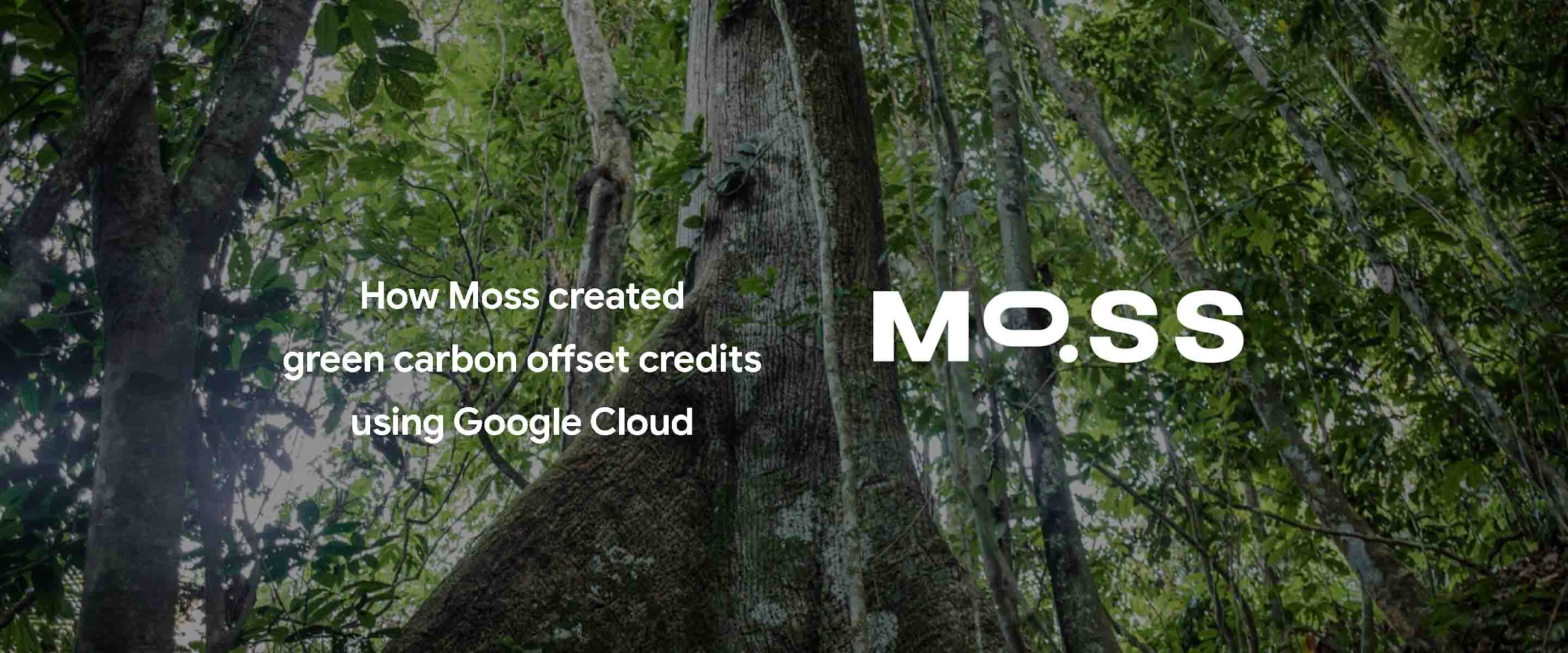 https://storage.googleapis.com/gweb-cloudblog-publish/images/moss_1.max-2600x2600.jpg