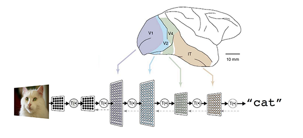 https://storage.googleapis.com/gweb-cloudblog-publish/images/neural-networks-22ke5r.max-600x600.PNG