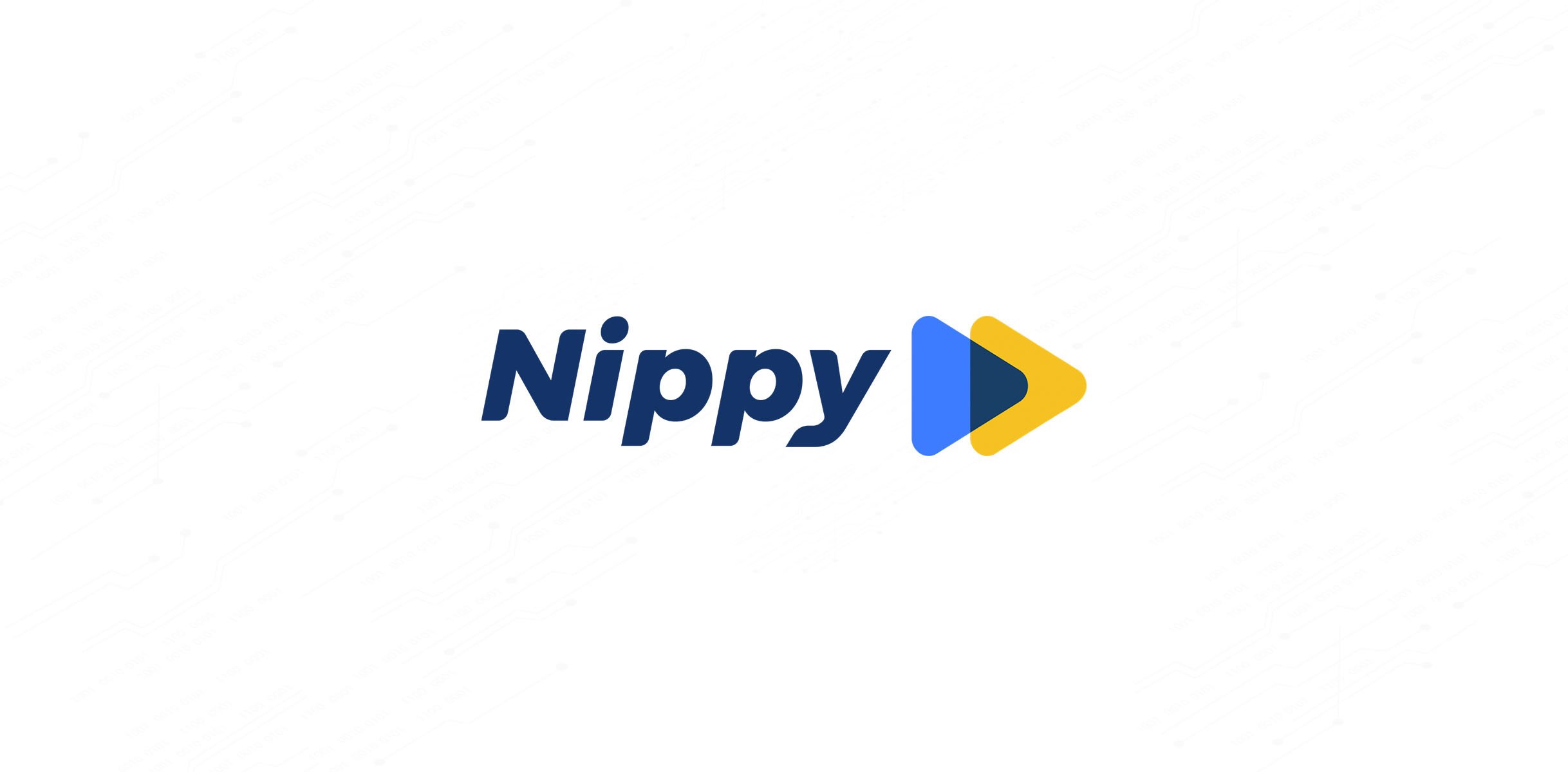 Nipppy Cover (2 Pairs)