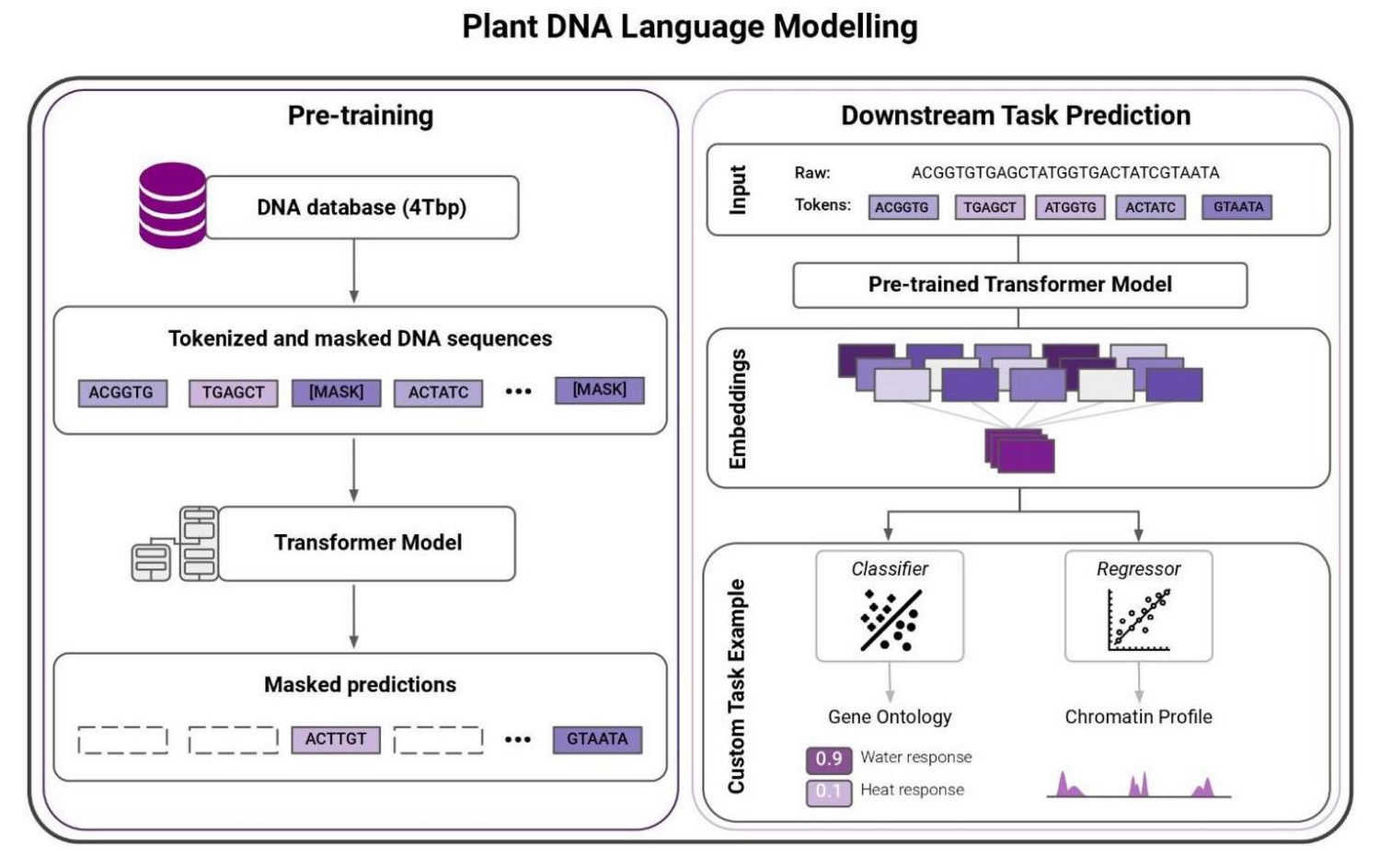 https://storage.googleapis.com/gweb-cloudblog-publish/images/plant_dna_language_modelling.max-1500x1500.jpg