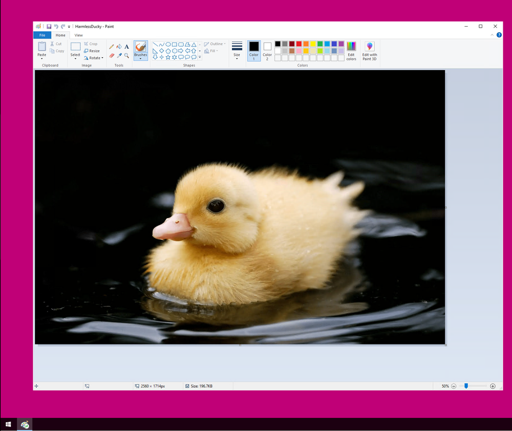 RDP RemoteApp (MsPaint.exe) hosted on the RDP server, as seen on a test victim machine