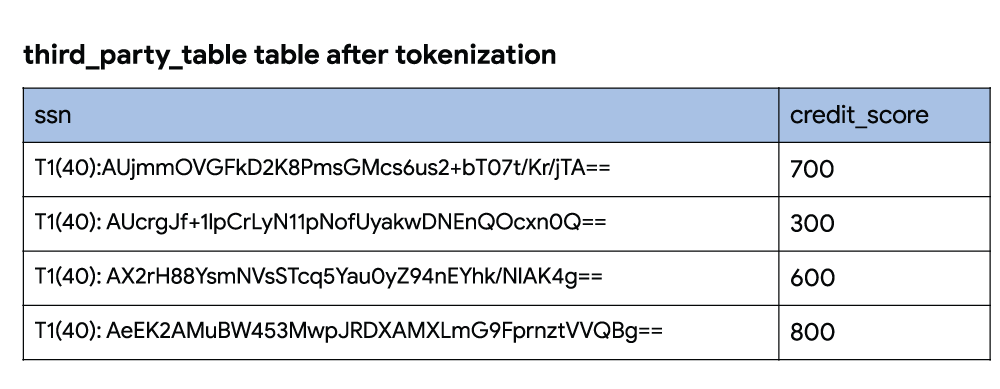 https://storage.googleapis.com/gweb-cloudblog-publish/images/third-party-tables-after-tokenization_vVxV.max-1000x1000.png