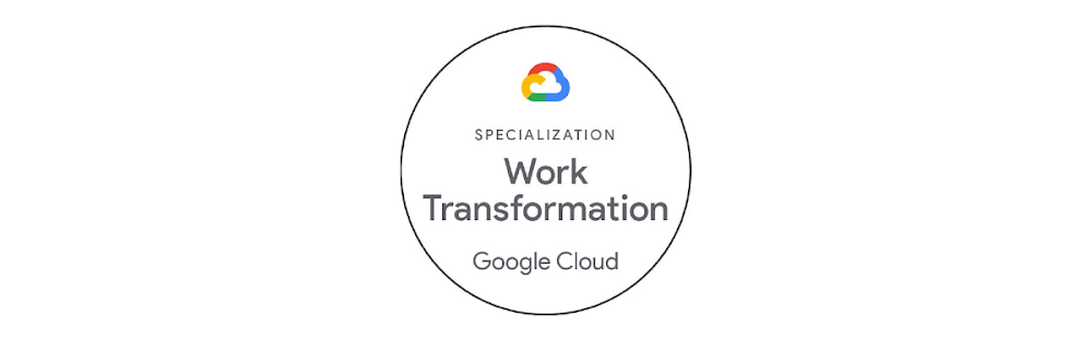 work trans - Partner Differentiation.jpg