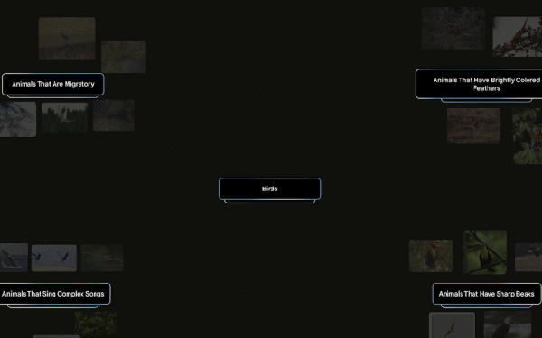 1. infinite nature demo