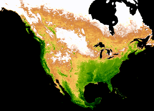 Analyzing satellite images in Google Earth Engine with BigQuery SQL