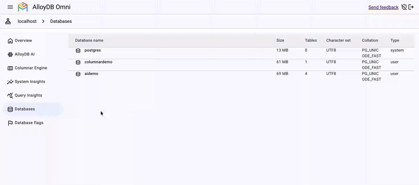 3 Database flags in AlloyDB Omni Web UI