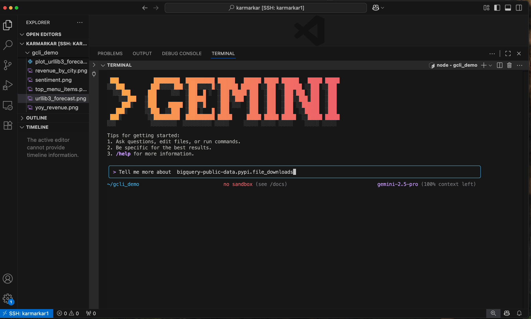 5-gemini-cli