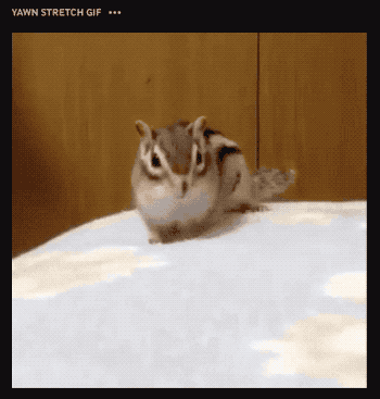 https://storage.googleapis.com/gweb-cloudblog-publish/original_images/giphy-2-n.gif