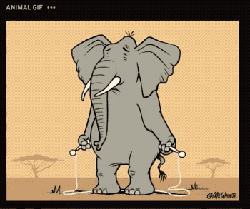 https://storage.googleapis.com/gweb-cloudblog-publish/original_images/giphy-5-n.gif