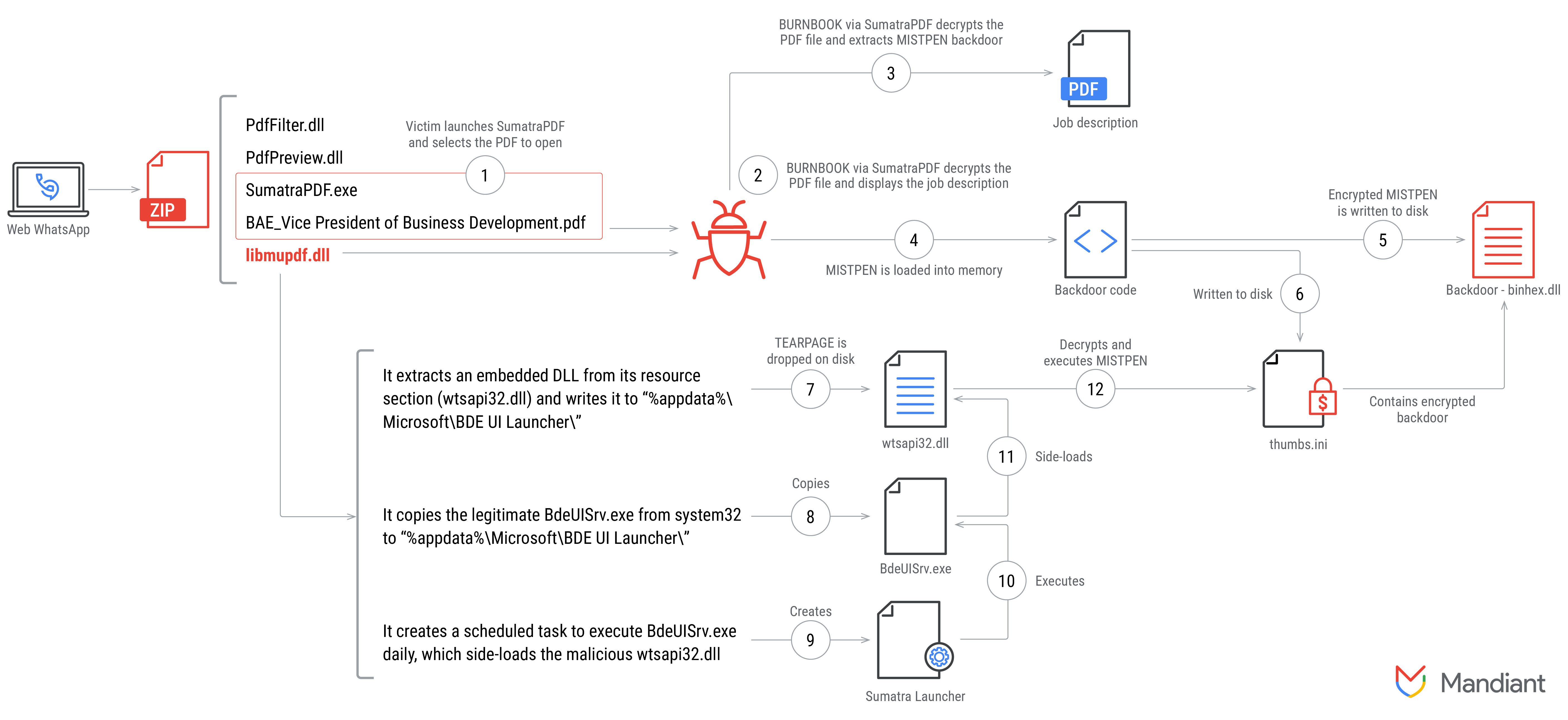 Infection lifecycle diagram