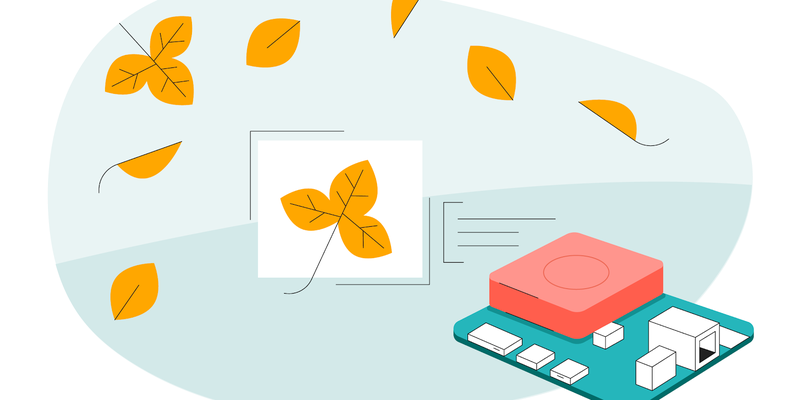 Coral+Fall+Updates+-+illustration+v3.png