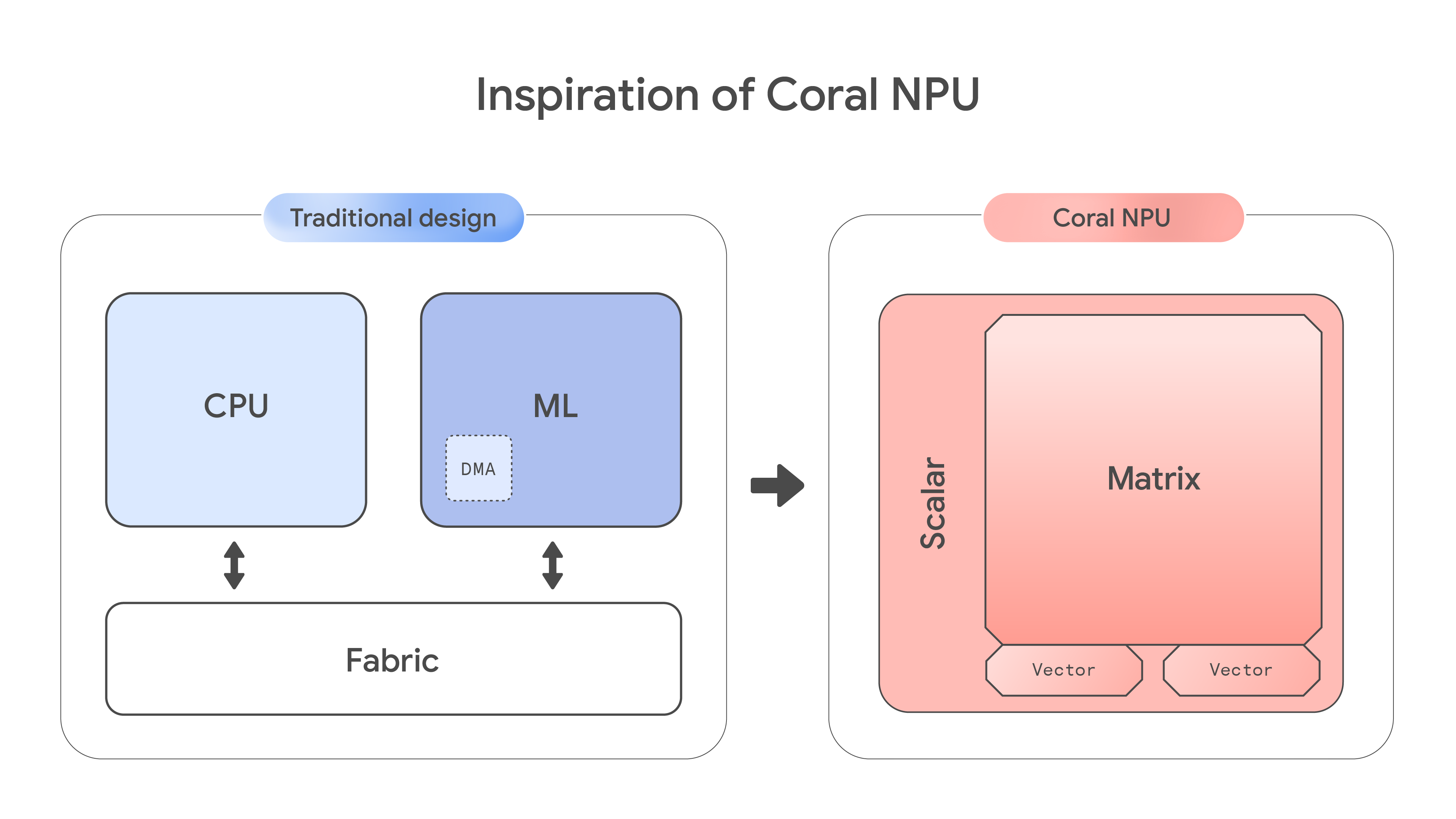 Inspiration of Coral_v4_Fin_Alpha