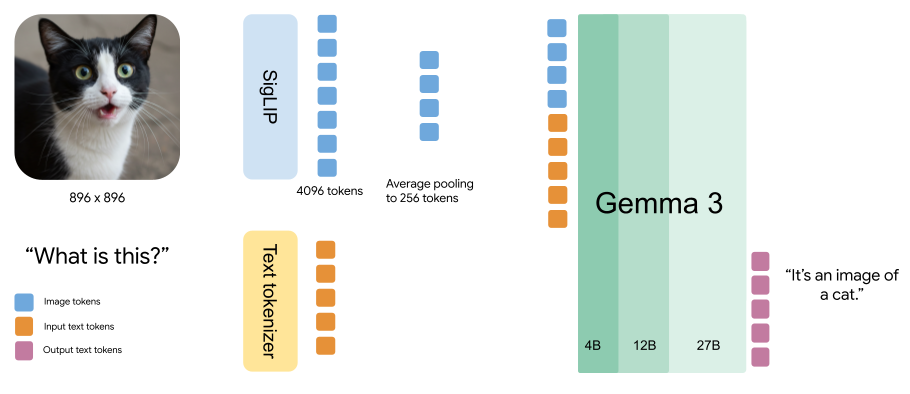 flow image of gemma 3 architecture