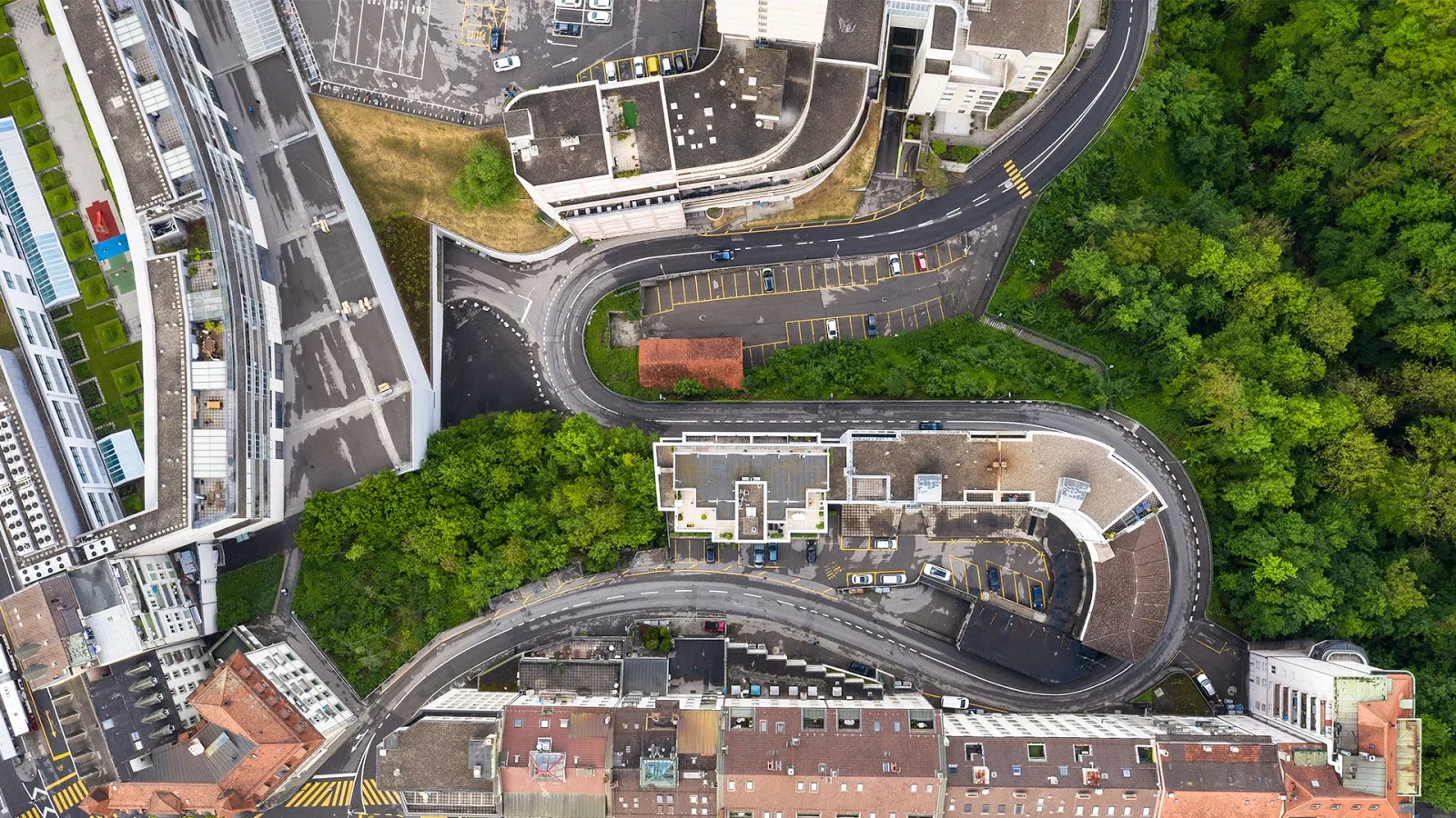 Birds eye view of city with trees