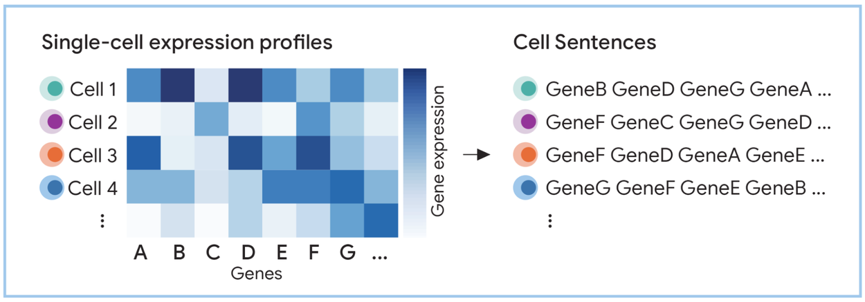 CellToSent2_Overview