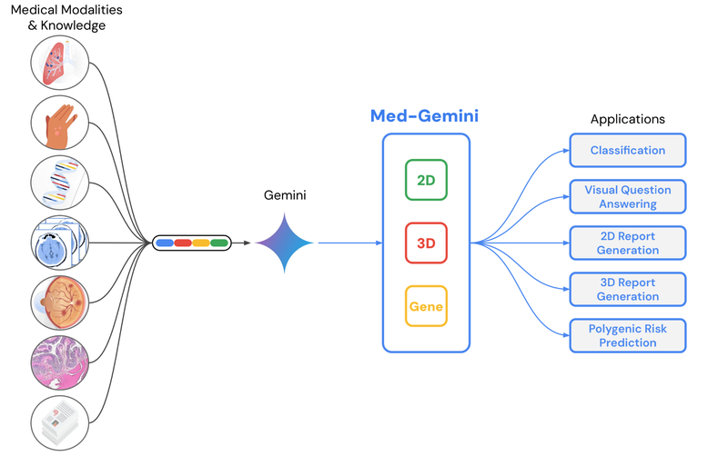 GRatIO24-4-Med-Gemini