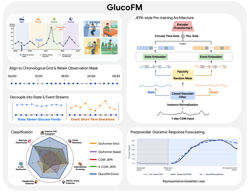 Overview diagram of the GlucoFM framework detailing its data processing, pre-training architecture, and predictive performance.