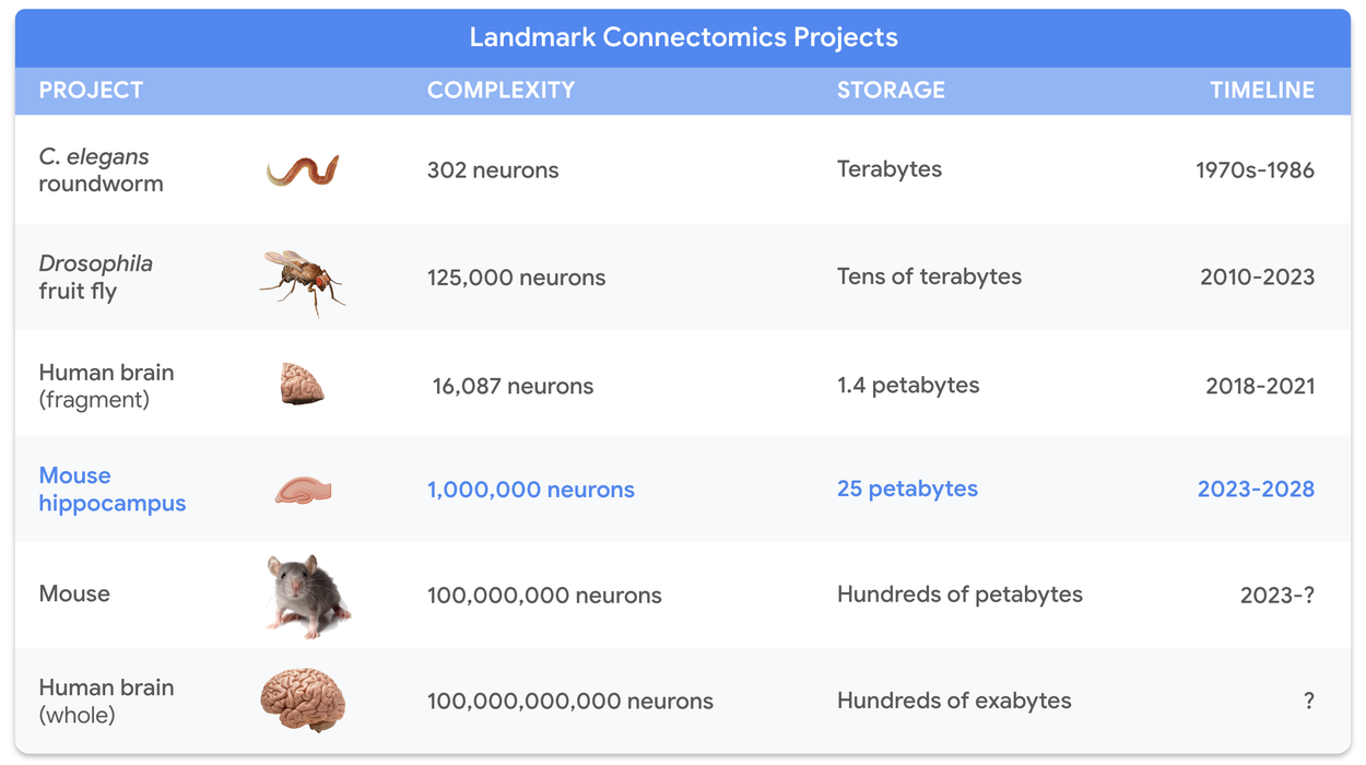 NeuralMapping_projects