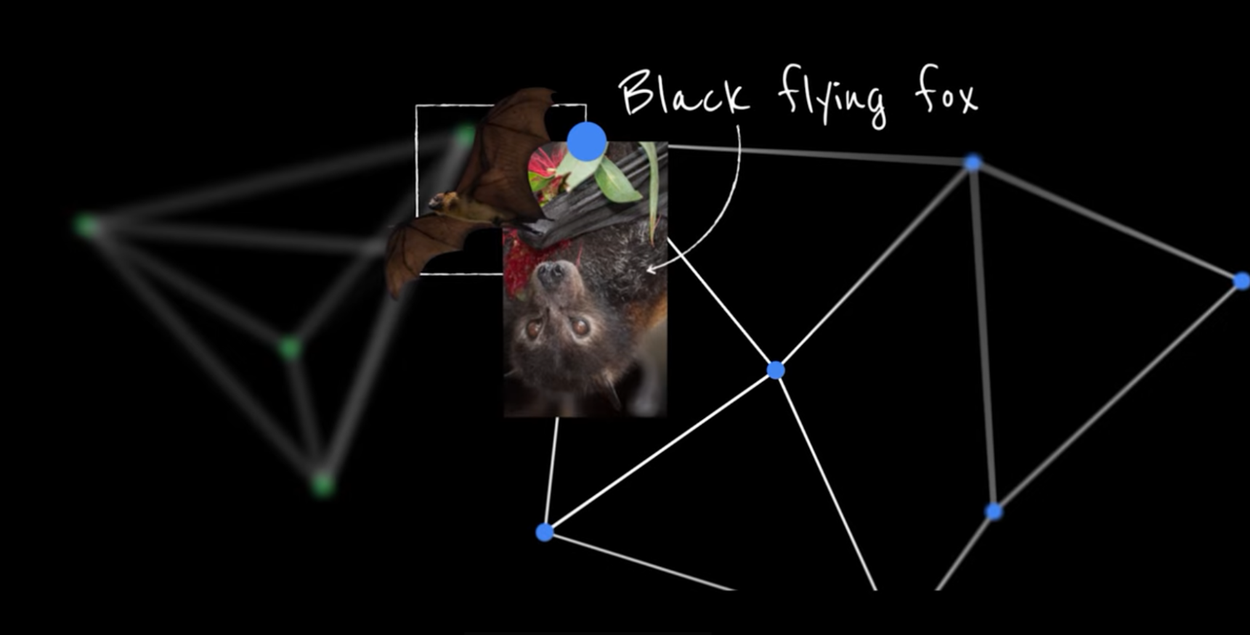 Species mapping