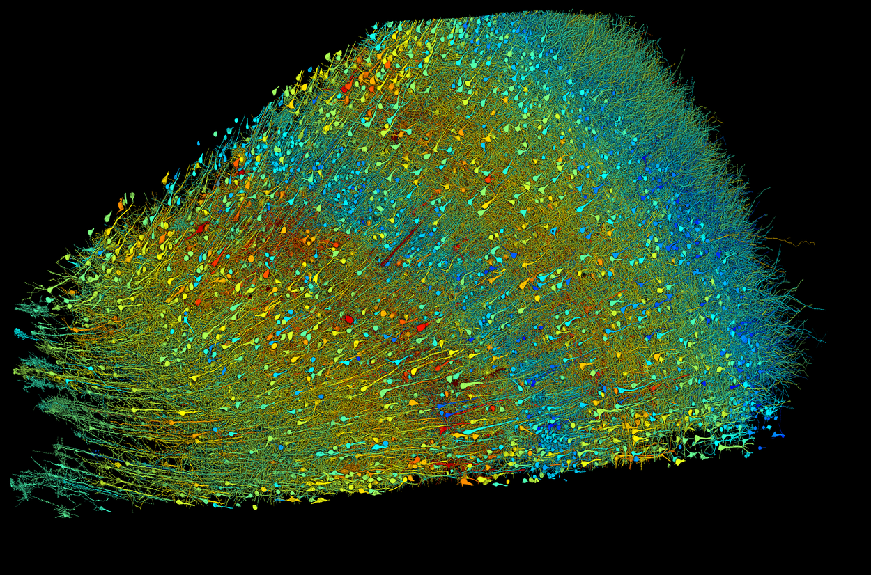 NeuroScience Feature