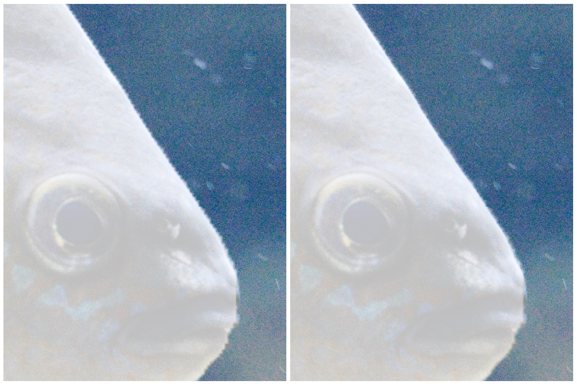 Comparison of original Interactive Segmenter mask and upsampled mask.