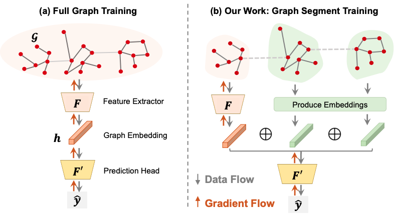 graph-training