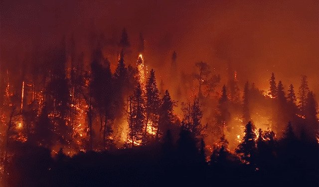 project-wildfire-detection