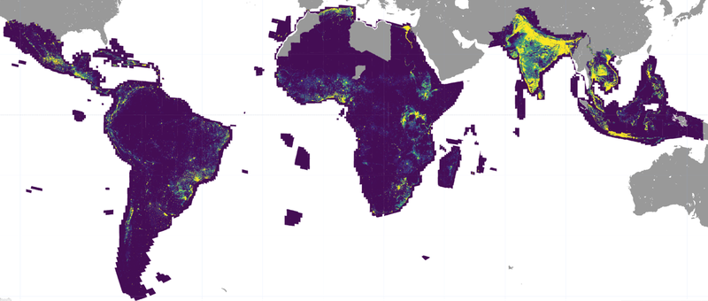 provisional-visualization-coverage