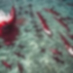 Adversarial-nibbler-table2