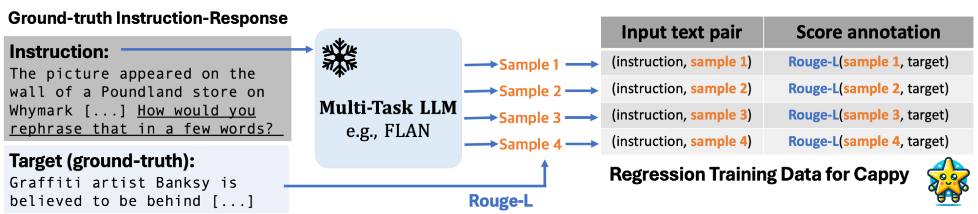 Cappy data augmentation