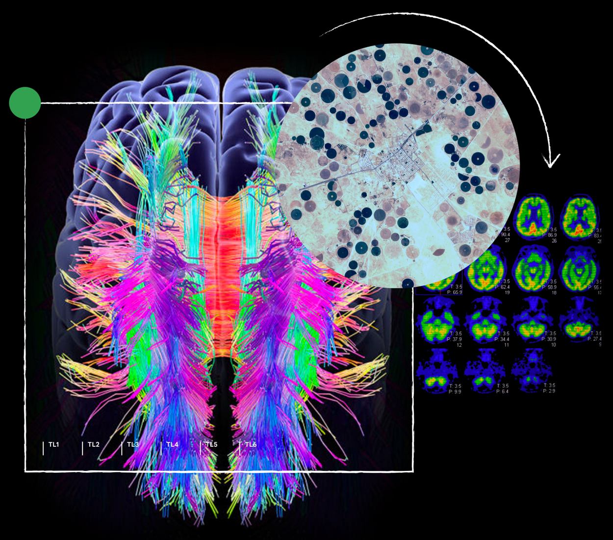 ScienceAI
