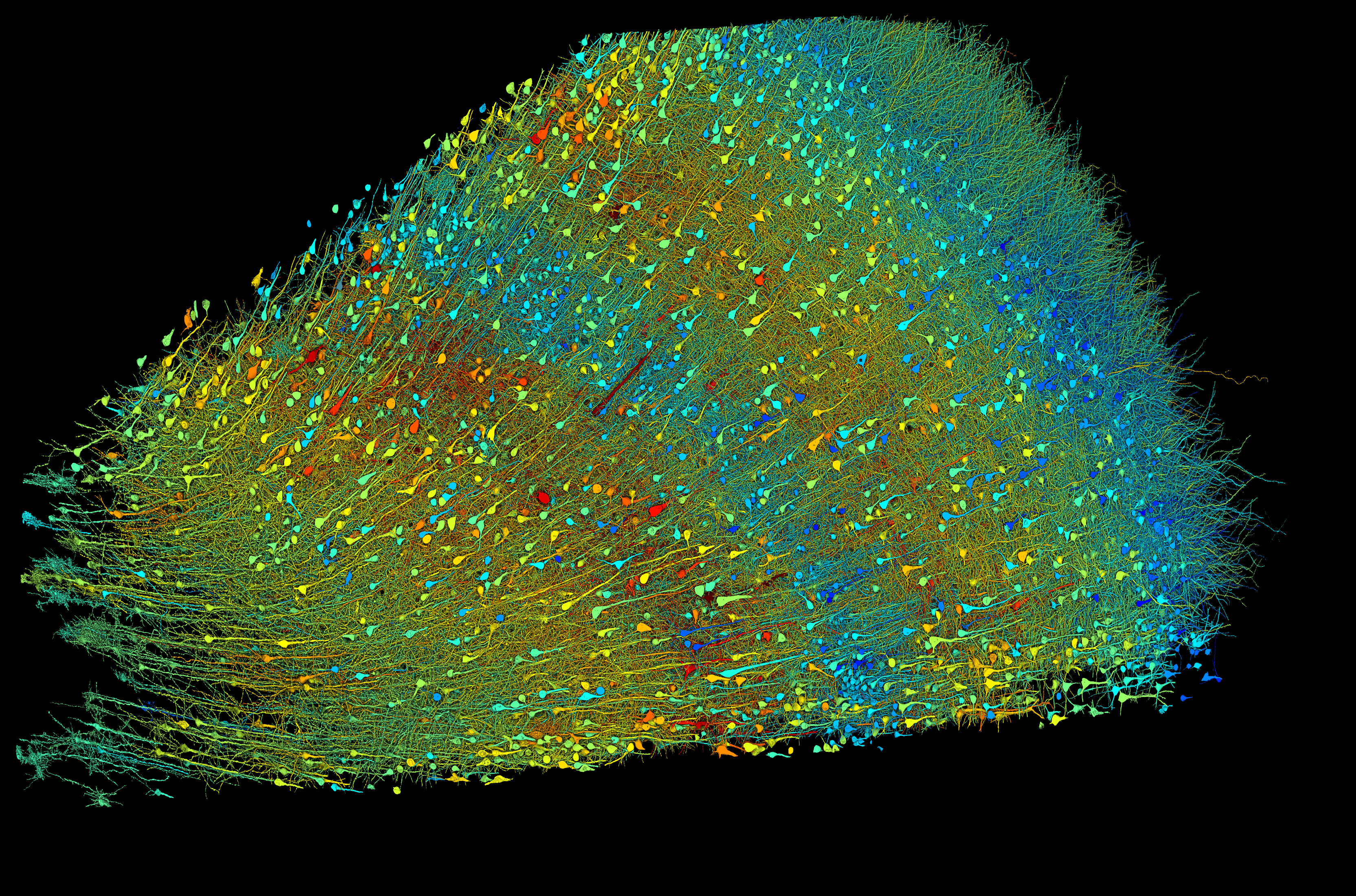 Science_AI_Neuroscience