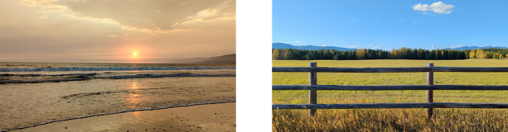 Alt text: Frames of 4K60 Live HDR+ video at a beach during sunset and a field in the afternoon.