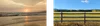 Alt text: Frames of 4K60 Live HDR+ video at a beach during sunset and a field in the afternoon.