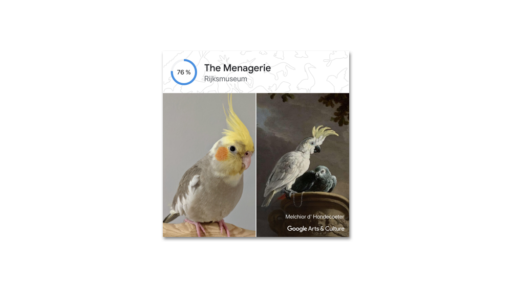 Photo of a yellow and gray cockatiel bird matched with an artwork called “The Menagerie”.