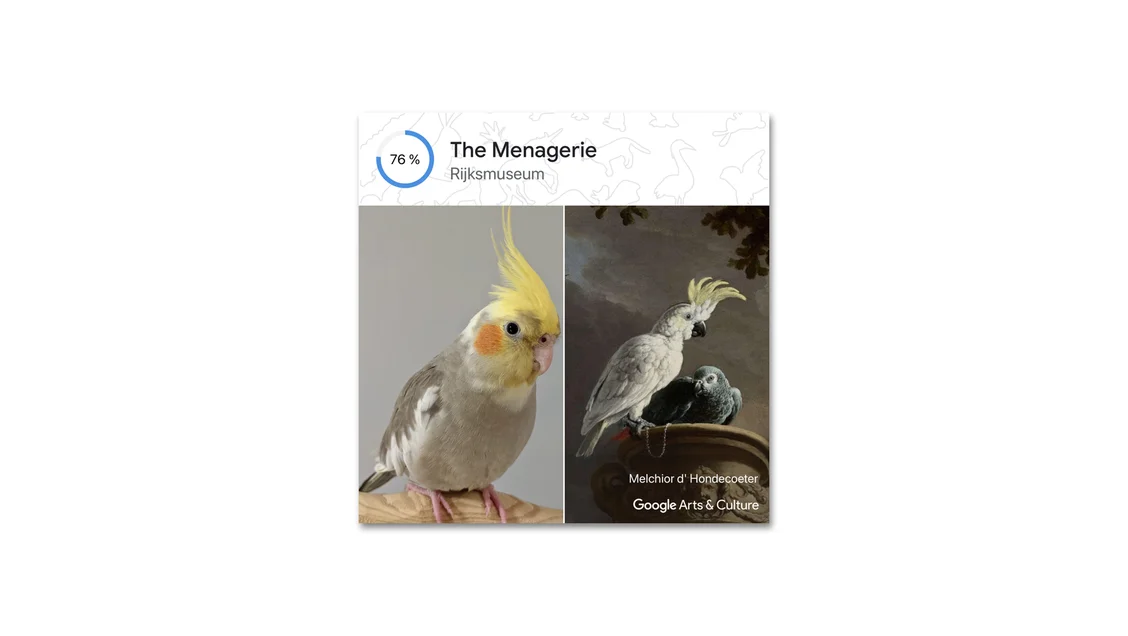 Photo of a yellow and gray cockatiel bird matched with an artwork called “The Menagerie.”