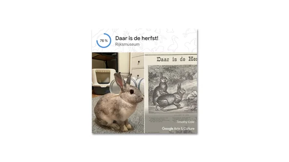 Foto eines grauen Kaninchens, das auf einem Teppich sitzt, verglichen mit einem Kunstwerk aus dem Rijksmuseum.