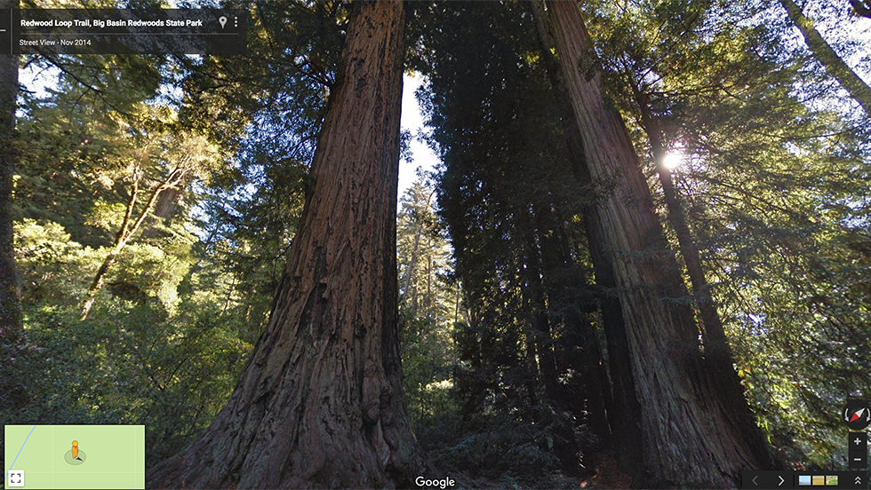 05 Sempervirens Campground.png