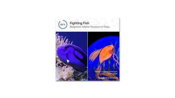 Foto eines Blautangfisches im Vergleich zu einem Kunstwerk mit dem Titel "Fighting Fish".