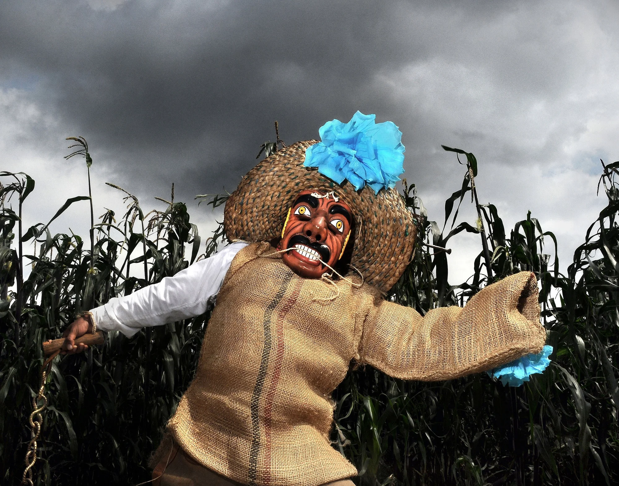 A person wearing a colorful mask and a hat stands in a corn field