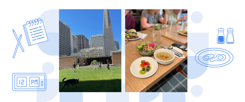 Two side-by-side photos: The first shows a grassy field, there are dogs and people. Skyscrapers are in the background. The second shows a lunch table where you can see some people in the background and in the foreground are multiple plates and bowls of different kinds of food. On the right side there is a frame with an icon that reads 12:00 p.m.; on the left there is an icon of a plate of food and a salt and pepper shaker.