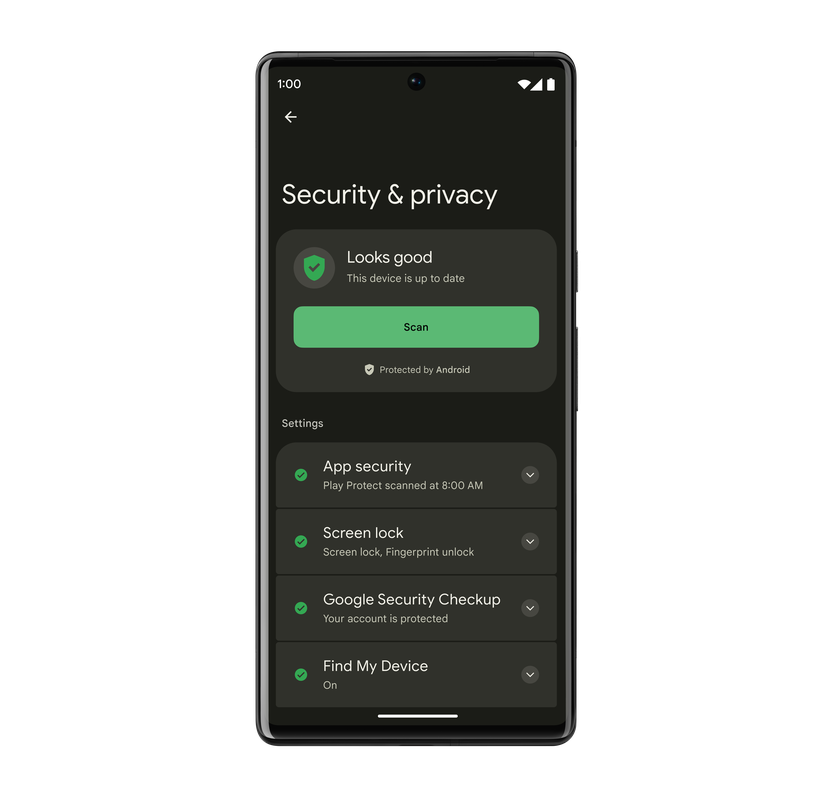 Within the Security & Privacy settings page, there is a color-coded safety status that indicates safety status. On the top of this user’s screen it  reads “Looks good” with a green check mark beside it.
