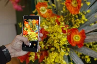 A phone pointing at a flower arrangement