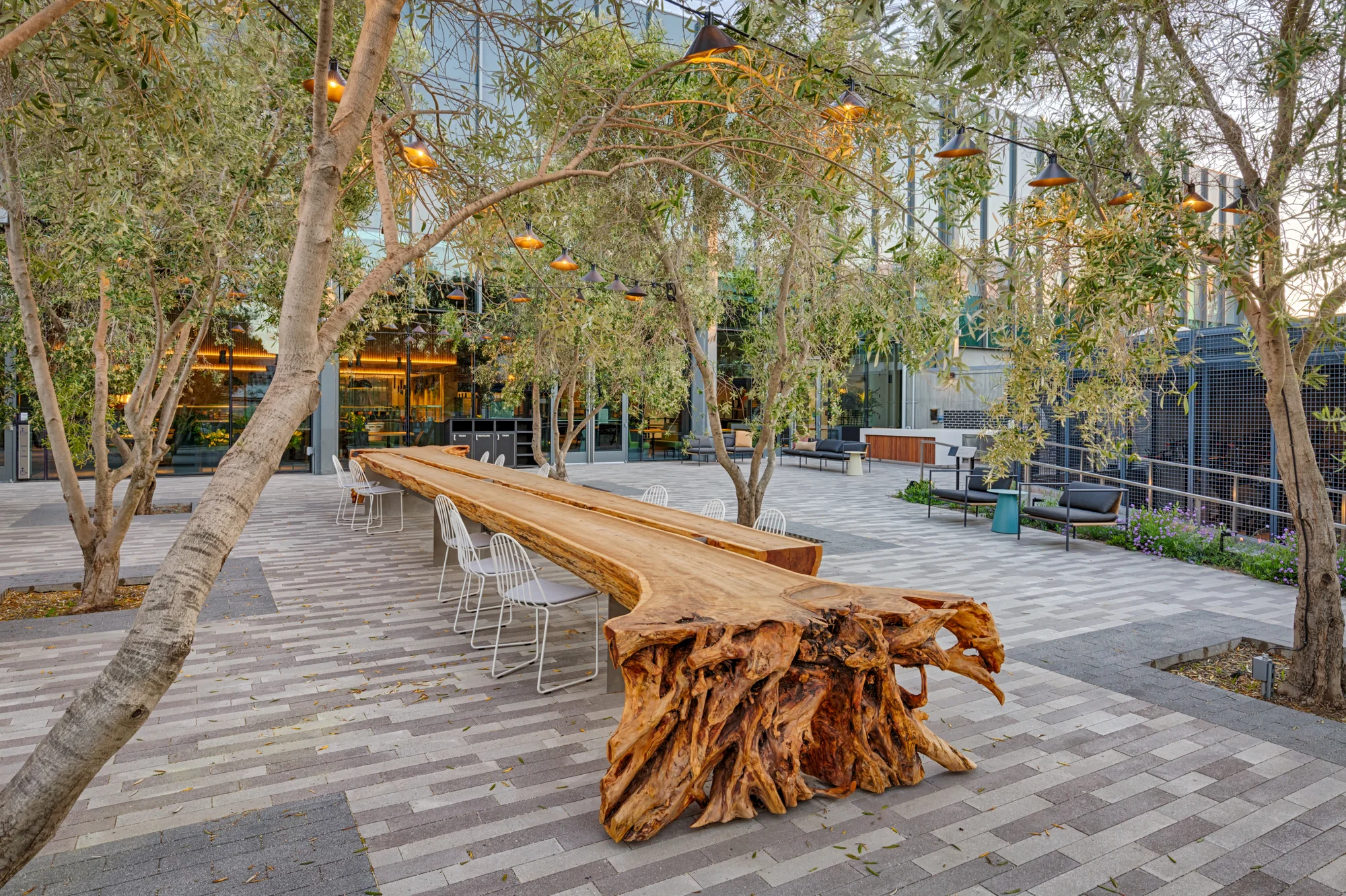 A courtyard with a long table made out of salvaged tree.