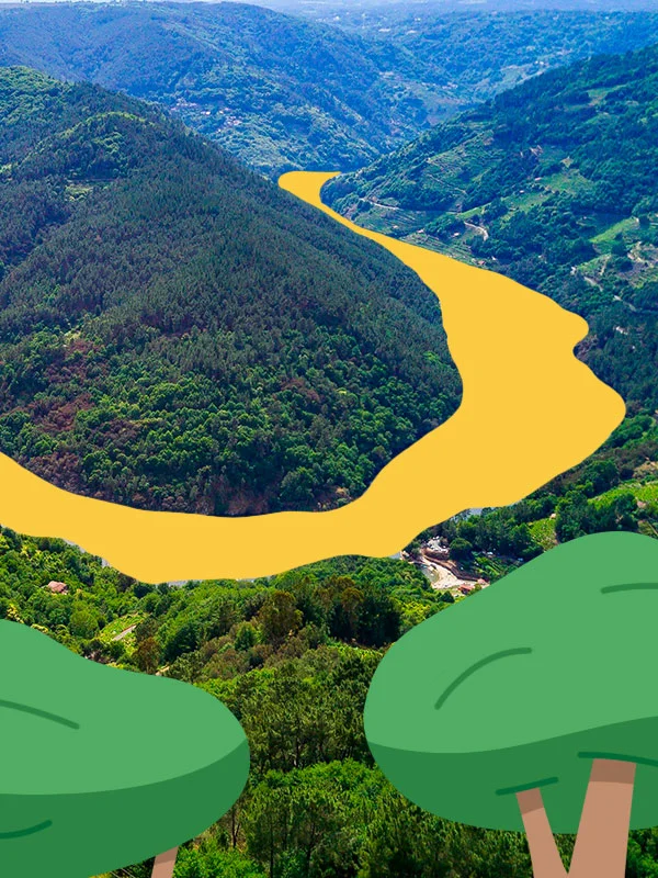 Aerial photograph of a green valley. The river that crosses it is drawn in yellow. Two trees are also drawn in the foreground.