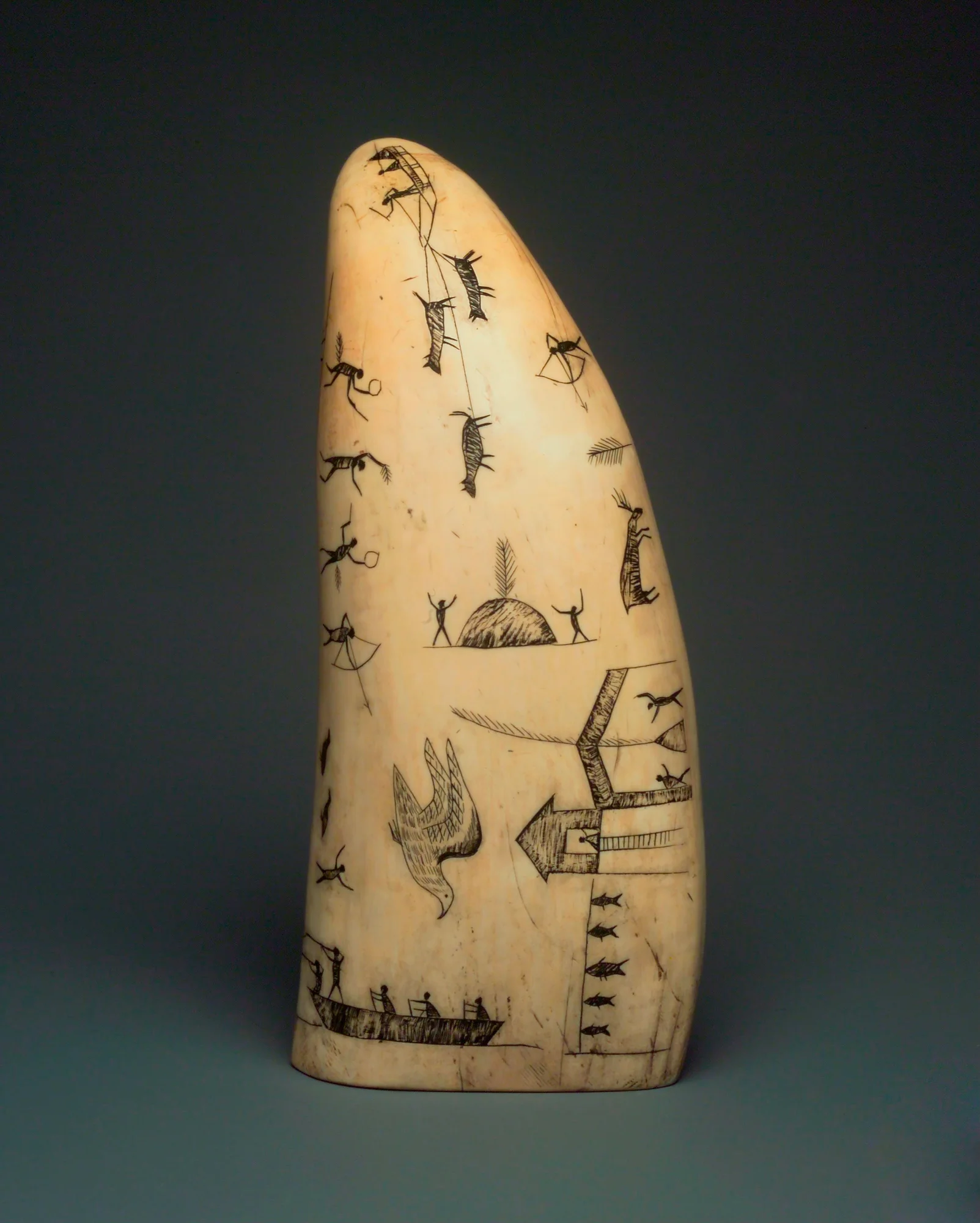 A whale tooth with engravings on it.