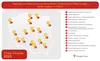 Mapa Polski w odcieniach szarości ze złotymi znacznikami lokalizacji, ponumerowanymi od 1 do 16. Po prawej stronie 16-punktowa lista identyfikująca każde miejsce. Powyżej znajduje się opis: „Najlepiej inspektorne przez użytkowników i użytkniczki Map Google zamki i pałace w Polsce”. Poniżej na karcie tytułowej widnieje napis „Złote Pinezki 2023”.