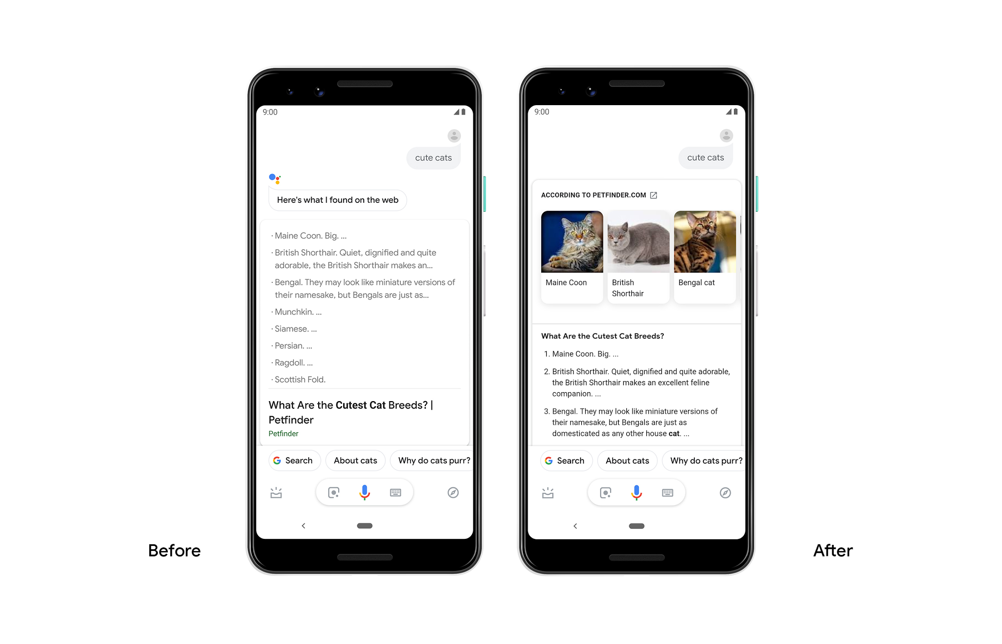 New types of rich results from your Google Assistant on Android