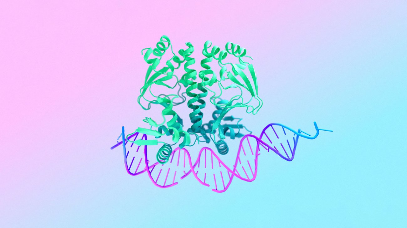 Revolutionizing Drug Discovery: Understanding the Intricate Molecular Machines Within Cells with AlphaFold 3